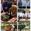 JELANG IDUL ADHA,BUPATI KETAPANG RESMIKAN MASJID DAN SALURKAN HEWAN QURBAN