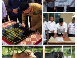 JELANG IDUL ADHA,BUPATI KETAPANG RESMIKAN MASJID DAN SALURKAN HEWAN QURBAN